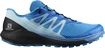 Herren Laufschuhe Salomon Sense Ride Blue Aster