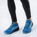 Herren Laufschuhe Salomon Sense Ride Blue Aster