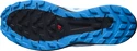 Herren Laufschuhe Salomon Sense Ride Blue Aster