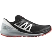 Herren Laufschuhe Salomon Sense Ride Sense Ride 4 Black/Pearl Blue