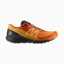 Herren Laufschuhe Salomon Sense Ride Sense Ride 4 Vibrant Orange / Ebony