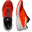 Herren Laufschuhe Salomon Sense Ride SENSE RIDE 5