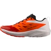 Herren Laufschuhe Salomon Sense Ride SENSE RIDE 5