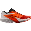 Herren Laufschuhe Salomon Sense Ride SENSE RIDE 5