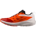 Herren Laufschuhe Salomon Sense Ride SENSE RIDE 5