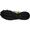 Herren Laufschuhe Salomon Speedcross 6 Gtx Flint/Grgeck/Black