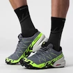 Herren Laufschuhe Salomon SPEEDCROSS 6 GTX Flint/Grgeck/Black