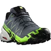 Herren Laufschuhe Salomon Speedcross 6 Gtx Flint/Grgeck/Black