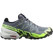 Herren Laufschuhe Salomon SPEEDCROSS 6 GTX Flint/Grgeck/Black