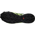 Herren Laufschuhe Salomon SPEEDCROSS 6 GTX Flint/Grgeck/Black