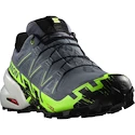 Herren Laufschuhe Salomon SPEEDCROSS 6 GTX Flint/Grgeck/Black