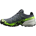 Herren Laufschuhe Salomon SPEEDCROSS 6 GTX Flint/Grgeck/Black