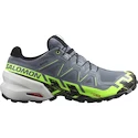 Herren Laufschuhe Salomon SPEEDCROSS 6 GTX Flint/Grgeck/Black