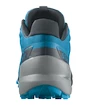 Herren Laufschuhe Salomon Speedcross Speedcross 5 Hawaiian Ocean
