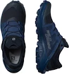 Herren Laufschuhe Salomon  Wildcross GTX Navy Blazer