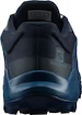 Herren Laufschuhe Salomon  Wildcross GTX Navy Blazer