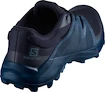 Herren Laufschuhe Salomon  Wildcross GTX Navy Blazer