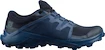Herren Laufschuhe Salomon  Wildcross GTX Navy Blazer