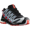 Herren Laufschuhe Salomon  XA PRO 3D v8 GTX Black/Fiery Red