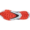 Herren Laufschuhe Salomon  XA PRO 3D v8 GTX Black/Fiery Red