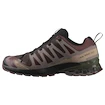 Herren Laufschuhe Salomon Xa Pro 3D V9 Gore-Tex Black Coffee/Rum Raisin/Olive Night