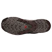 Herren Laufschuhe Salomon Xa Pro 3D V9 Gore-Tex Black Coffee/Rum Raisin/Olive Night