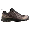 Herren Laufschuhe Salomon Xa Pro 3D V9 Gore-Tex Black Coffee/Rum Raisin/Olive Night