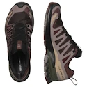 Herren Laufschuhe Salomon Xa Pro 3D V9 Gore-Tex Black Coffee/Rum Raisin/Olive Night