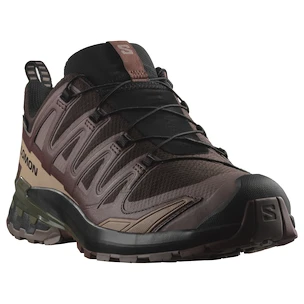 Herren Laufschuhe Salomon Xa Pro 3D V9 Gore-Tex Black Coffee/Rum Raisin/Olive Night