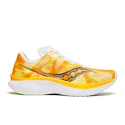 Herren Laufschuhe Saucony  Kinvara 15 Peel/White  UK 10