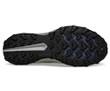 Herren Laufschuhe Saucony  Peregrine 13 Glade/Black