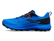 Herren Laufschuhe Saucony Peregrine 14 Cobalt/Black