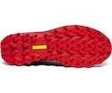 Herren Laufschuhe Saucony  Peregrine