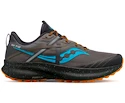 Herren Laufschuhe Saucony  Ride 15 TR Pewter/Agave