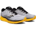 Herren Laufschuhe Saucony  Ride