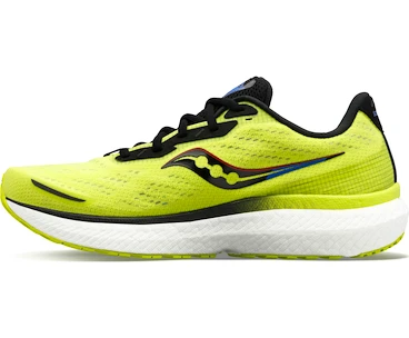 Herren Laufschuhe Saucony  Triumph 19 Acid/Blue Raz