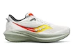 Herren Laufschuhe Saucony  Triumph 21 Fog/Bough