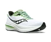 Herren Laufschuhe Saucony Triumph 21 White/Umbra