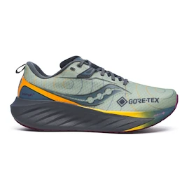 Herren Laufschuhe Saucony Triumph 22 Gtx Sage/Carbon