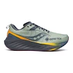 Herren Laufschuhe Saucony  Triumph 22 Gtx Sage/Carbon  UK 10,5