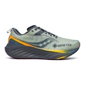 Herren Laufschuhe Saucony  Triumph 22 Gtx Sage/Carbon  UK 10,5