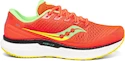 Herren Laufschuhe Saucony  Triumph