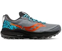 Herren Laufschuhe Saucony  Xodus Ultra 2 Fossil/Basalt