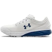 Herren Laufschuhe Under Armour  Charged Escape 3 Evo