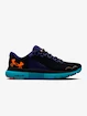 Herren Laufschuhe Under Armour  HOVR Infinite 4-BLK  EUR 44