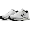 Herren Laufschuhe Under Armour HOVR Velociti 3
