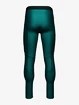 Herren Leggings Under Armour HG IsoChill Perf Leggings blau