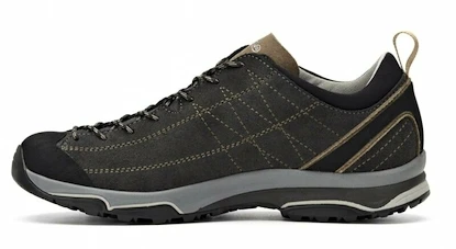 Herren-Outdoorschuhe Asolo  Nucleon GV Graphite Brown