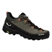 Herren-Outdoorschuhe Salewa  Alp Trainer 2 Bungee Cord/Black