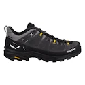 Herren-Outdoorschuhe Salewa  ALP Trainer 2 Gtx M Onyx/Black  UK 10